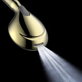 Regal 9-Function Hand Shower with Power Wash