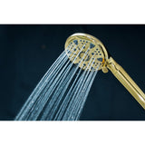 Regal 9-Function Hand Shower with Power Wash