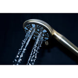 Regal 9-Function Hand Shower with Power Wash