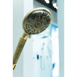 Regal 9-Function Hand Shower with Power Wash
