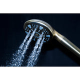 Regal 9-Function Hand Shower with Power Wash