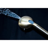 Regal 9-Function Hand Shower with Power Wash