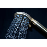Regal 9-Function Hand Shower with Power Wash