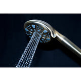 Regal 9-Function Hand Shower with Power Wash