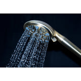 Regal 9-Function Hand Shower with Power Wash