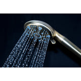 Regal 9-Function Hand Shower with Power Wash