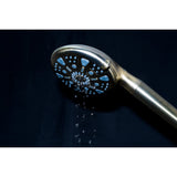 Regal 9-Function Hand Shower with Power Wash