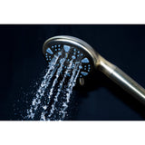 Regal 9-Function Hand Shower with Power Wash