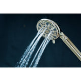 Regal 9-Function Hand Shower with Power Wash