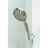 Regal 9-Function Hand Shower with Power Wash