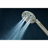 Regal 9-Function Hand Shower with Power Wash