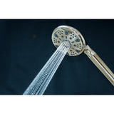 Regal 9-Function Hand Shower with Power Wash