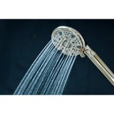 Regal 9-Function Hand Shower with Power Wash