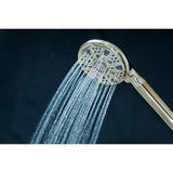 Regal 9-Function Hand Shower with Power Wash