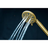 Regal 9-Function Hand Shower with Power Wash