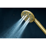 Regal 9-Function Hand Shower with Power Wash