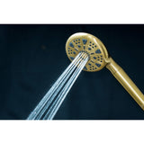 Regal 9-Function Hand Shower with Power Wash