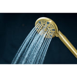 Regal 9-Function Hand Shower with Power Wash