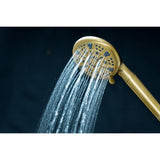Regal 9-Function Hand Shower with Power Wash