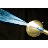 Regal 9-Function Hand Shower with Power Wash