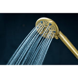 Regal 9-Function Hand Shower with Power Wash