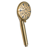 Regal 9-Function Hand Shower with Power Wash