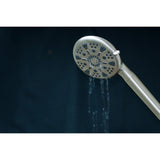 Regal 9-Function Hand Shower with Power Wash