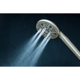 Regal 9-Function Hand Shower with Power Wash