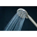 Regal 9-Function Hand Shower with Power Wash