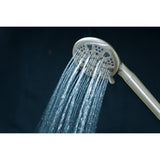 Regal 9-Function Hand Shower with Power Wash