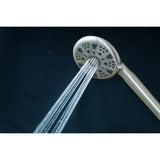 Regal 9-Function Hand Shower with Power Wash