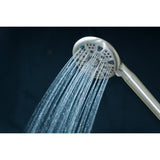 Regal 9-Function Hand Shower with Power Wash