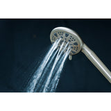 Regal 9-Function Hand Shower with Power Wash