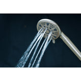 Regal 9-Function Hand Shower with Power Wash