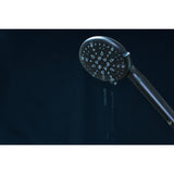 Regal 9-Function Hand Shower with Power Wash