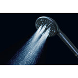 Regal 9-Function Hand Shower with Power Wash