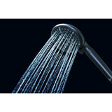 Regal 9-Function Hand Shower with Power Wash