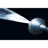 Regal 9-Function Hand Shower with Power Wash