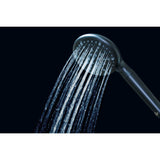 Regal 9-Function Hand Shower with Power Wash