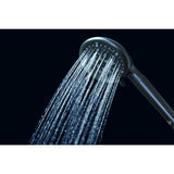 Regal 9-Function Hand Shower with Power Wash