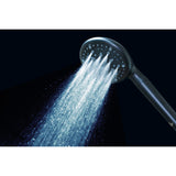 Regal 9-Function Hand Shower with Power Wash