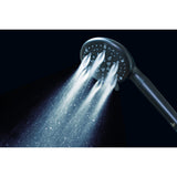Regal 9-Function Hand Shower with Power Wash