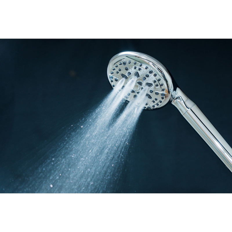 Regal 9-Function Hand Shower with Power Wash
