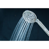 Regal 9-Function Hand Shower with Power Wash