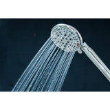 Regal 9-Function Hand Shower with Power Wash