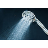 Regal 9-Function Hand Shower with Power Wash