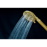 Regal 9-Function Hand Shower with Power Wash