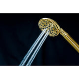 Regal 9-Function Hand Shower with Power Wash