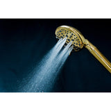Regal 9-Function Hand Shower with Power Wash