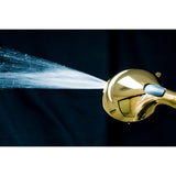 Regal 9-Function Hand Shower with Power Wash
